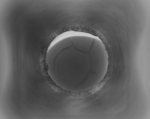 X0000111120192200908111026