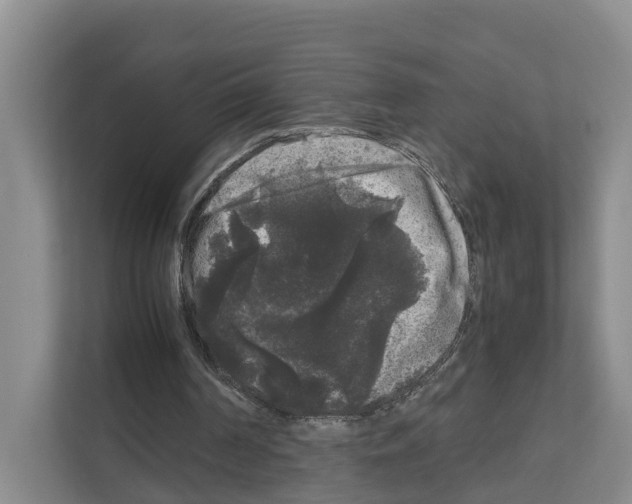 X0000111120194200908111026