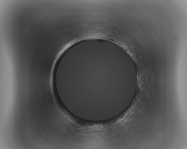 X0000111120196200908111026