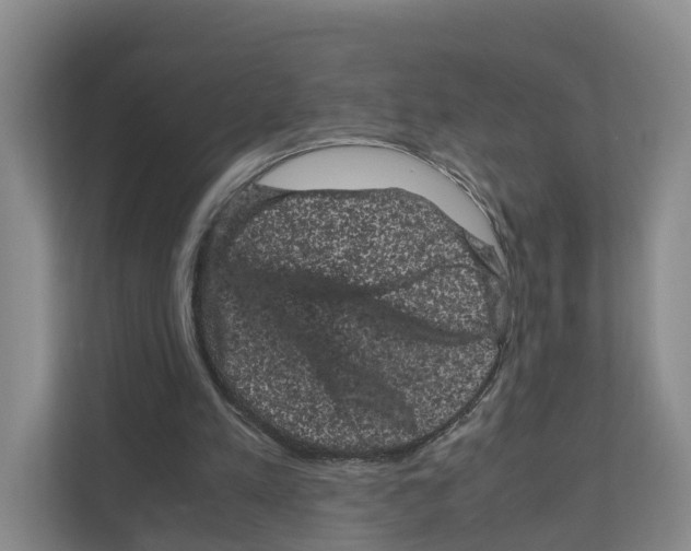 X0000111120197200908111026