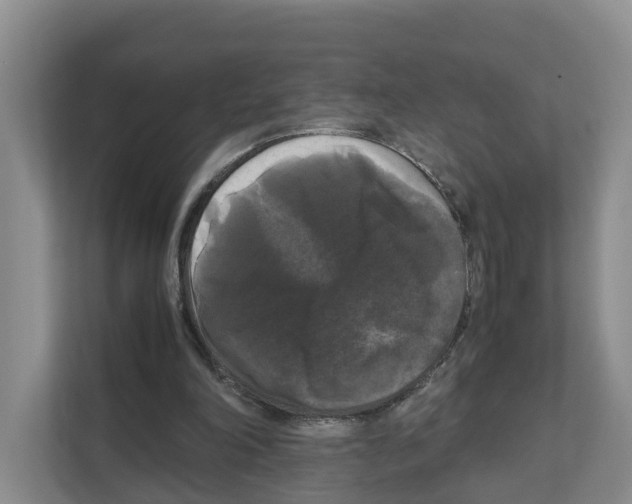 X0000111120198200908111026