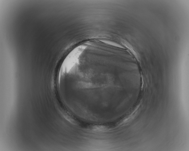 X0000111120203200908111025