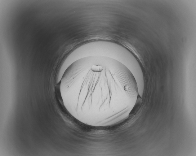 X0000111120205200908111025