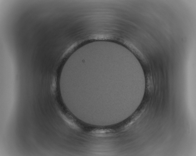 X0000111120208200908111025