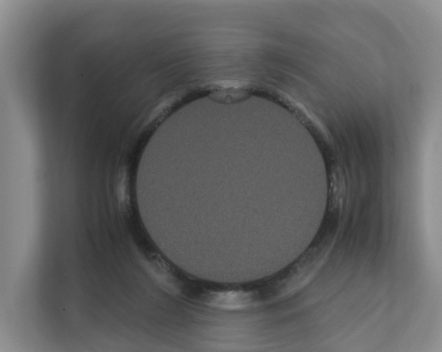 X0000111120212200908111025