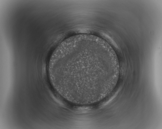 X0000111120213200908111025