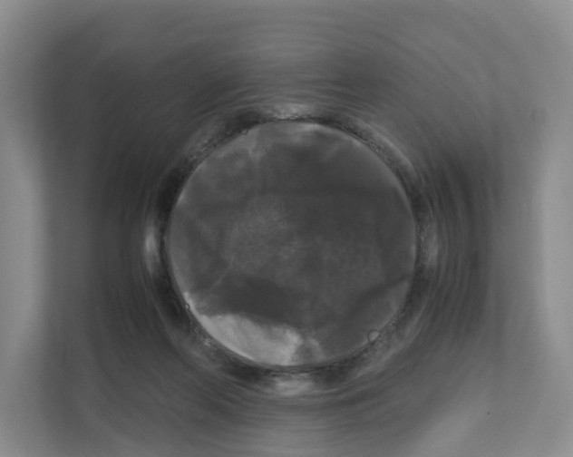 X0000111120214200908111025