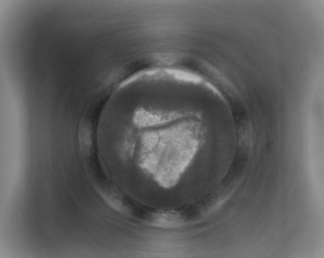 X0000111120215200908111025