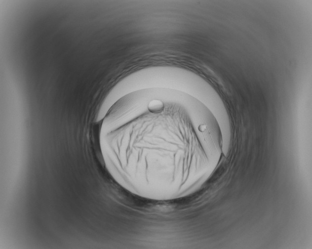 X0000111120217200908111025