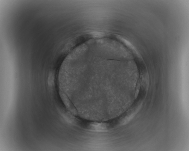 X0000111120221200908111025