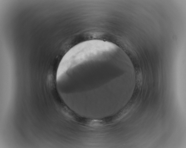 X0000111120222200908111025