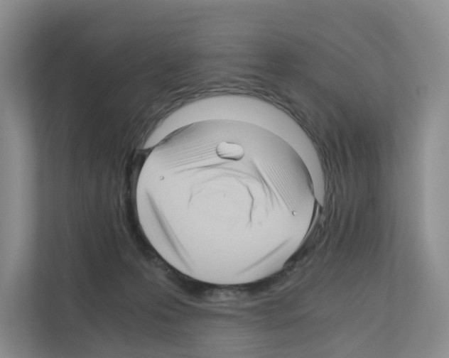 X0000111120223200908111025