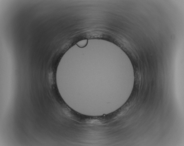 X0000111120224200908111025