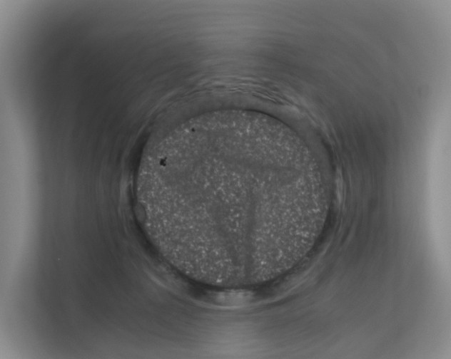 X0000111120225200908111025