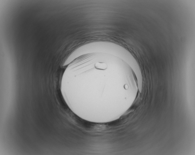 X0000111120227200908111025
