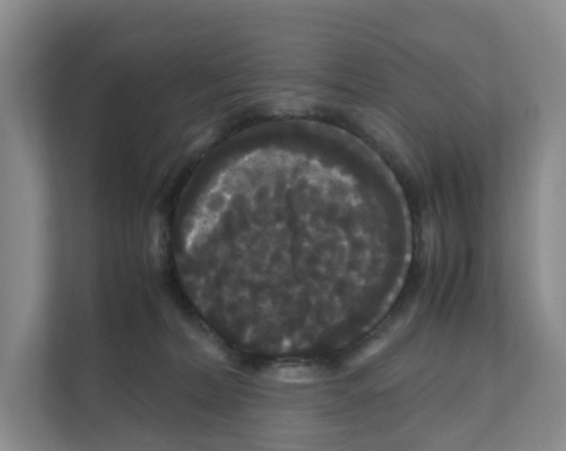 X0000111120228200908111025