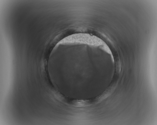 X0000111120229200908111025