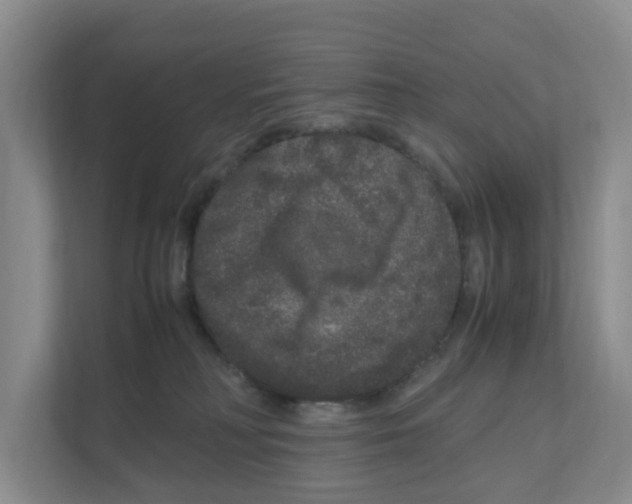 X0000111120230200908111025