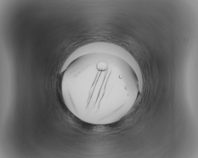 X0000111120231200908111025