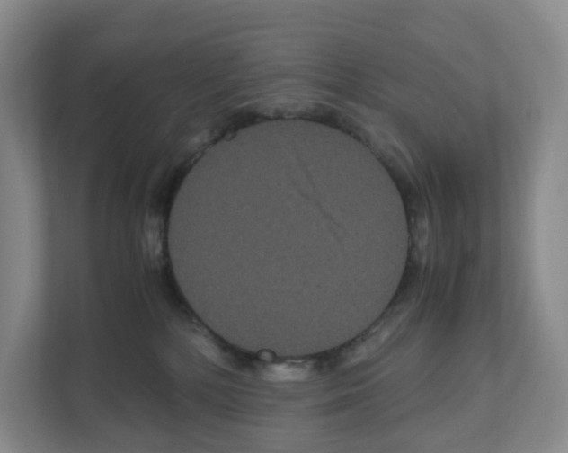 X0000111120232200908111025