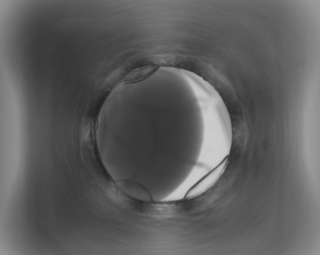X0000111120233200908111025