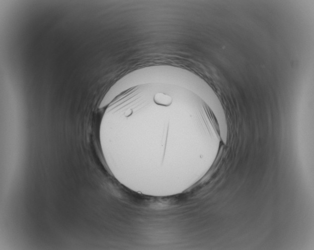 X0000111120235200908111025