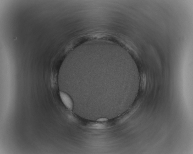 X0000111120236200908111025