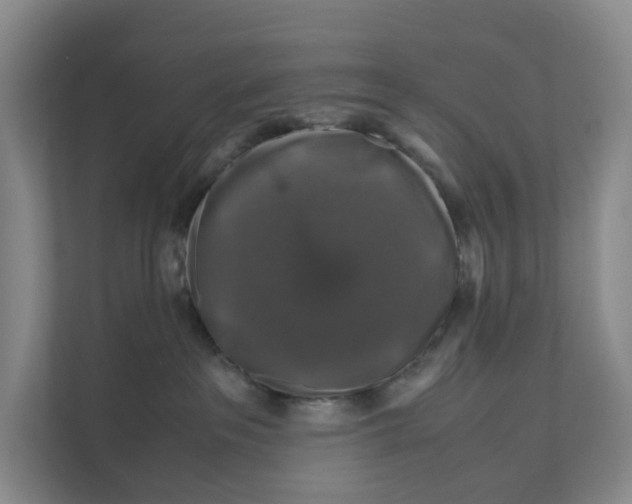 X0000111120237200908111025