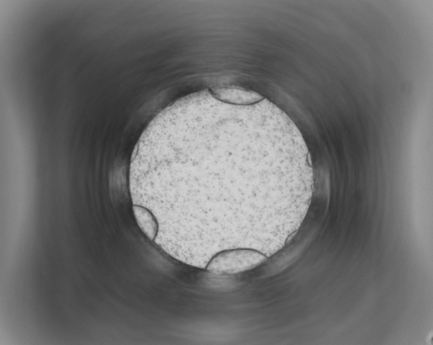 X0000111120238200908111025