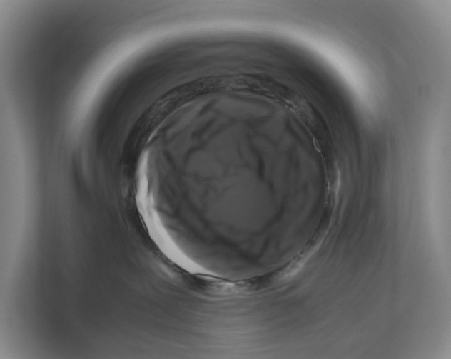 X0000111120239200908111025