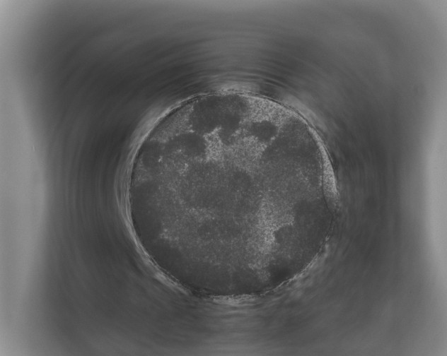 X0000111120241200908111024