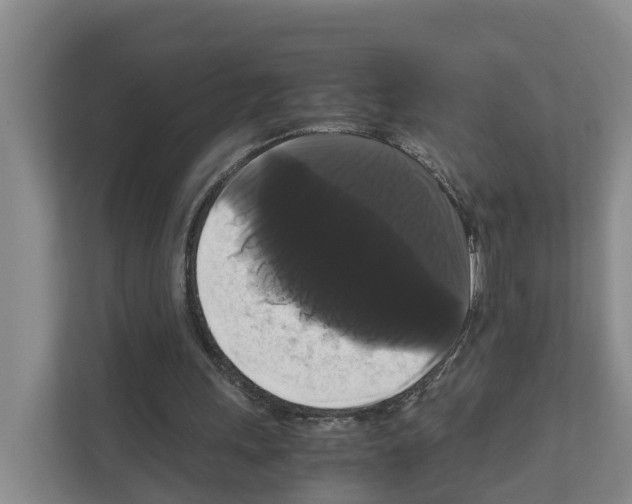 X0000111120243200908111024
