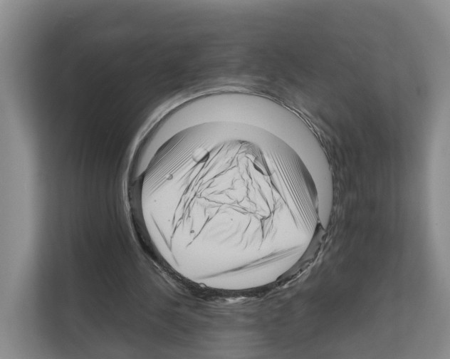 X0000111120244200908111024