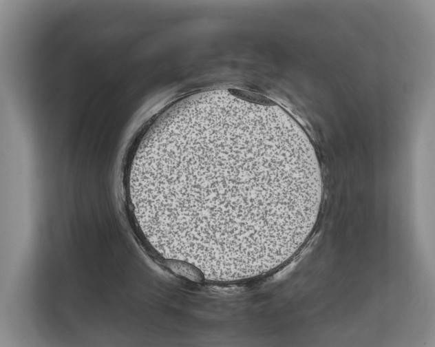 X0000111120245200908111024