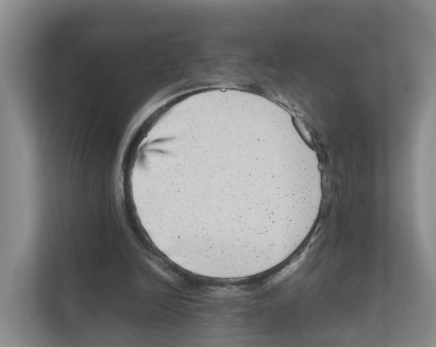 X0000111120246200908111024