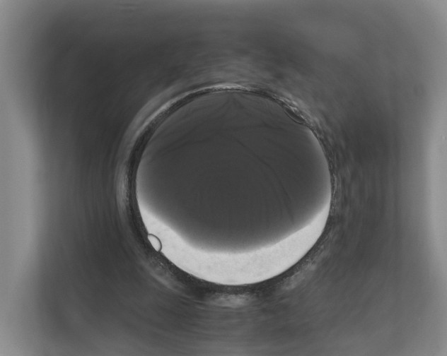 X0000111120247200908111024