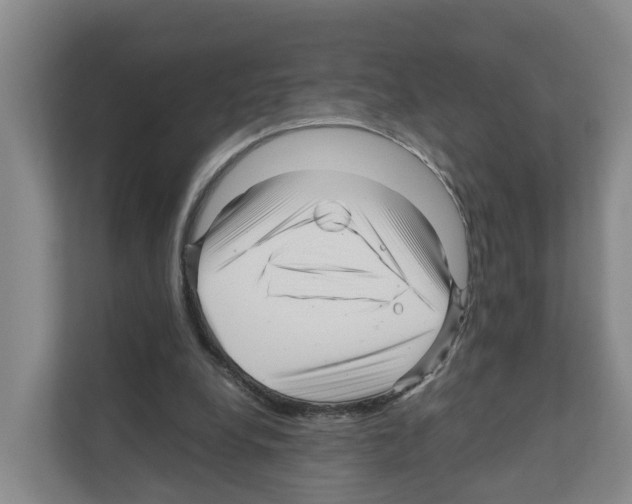 X0000111120248200908111024