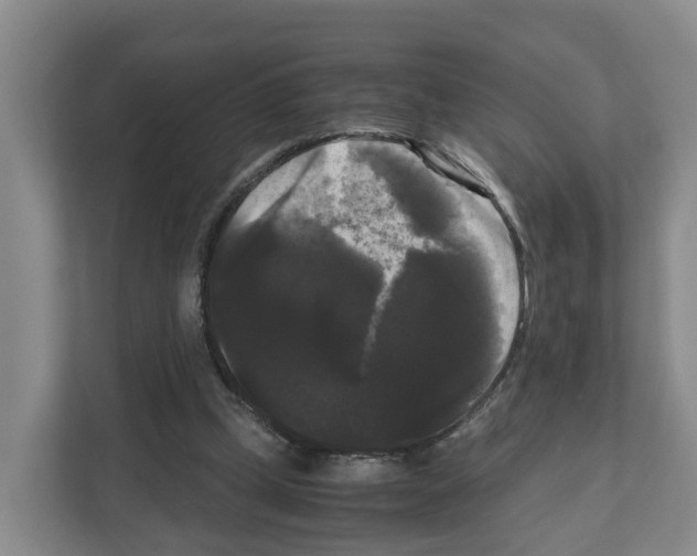 X0000111120249200908111024