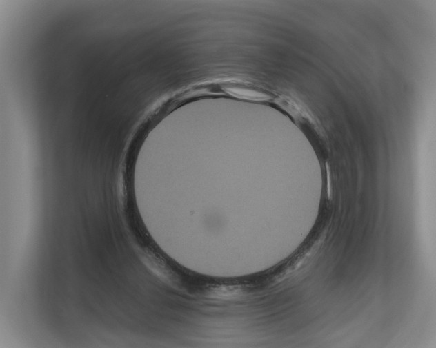X0000111120252200908111025
