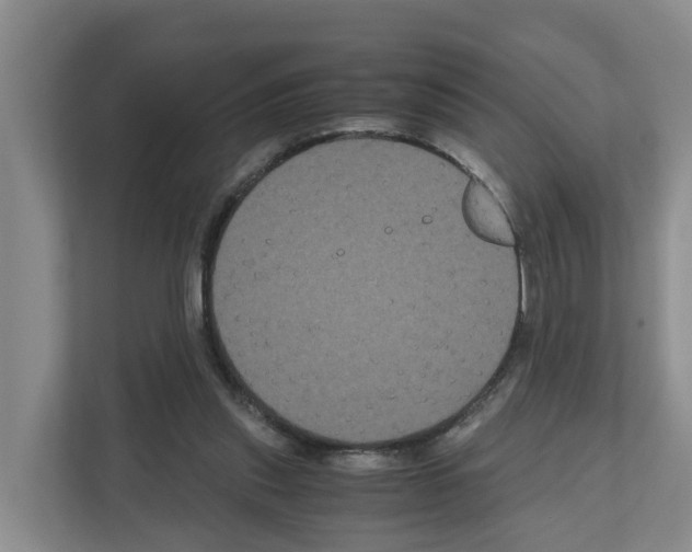 X0000111120253200908111025