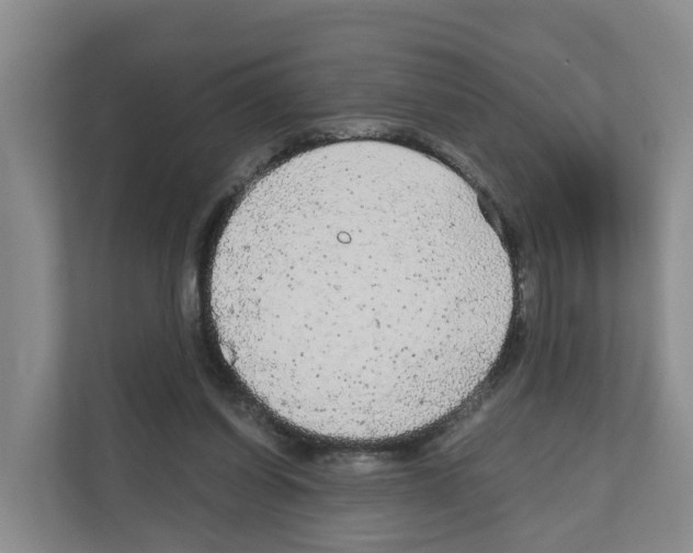 X0000111120254200908111025