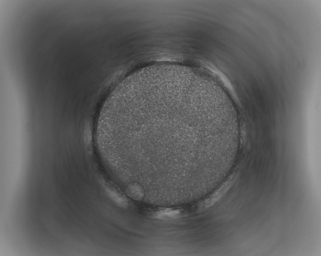 X0000111120257200908111025