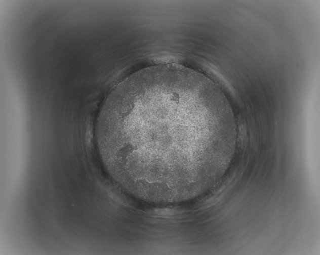 X0000111120259200908111025