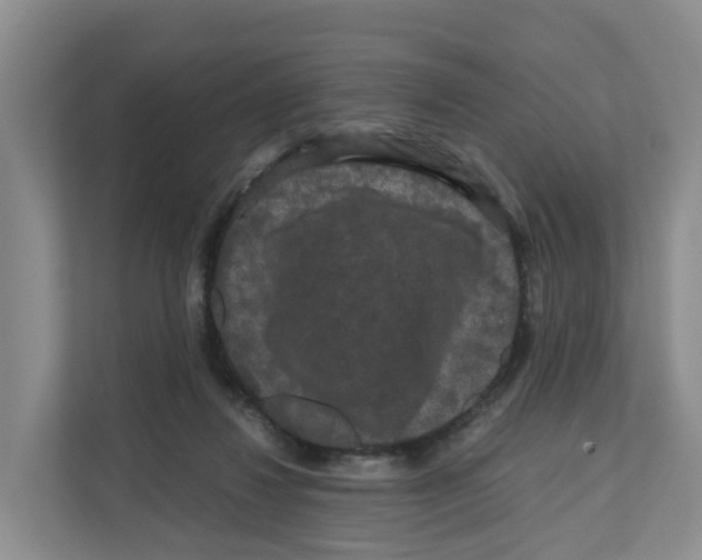 X0000111120260200908111025