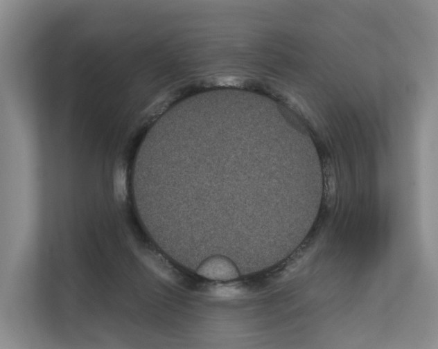 X0000111120262200908111025