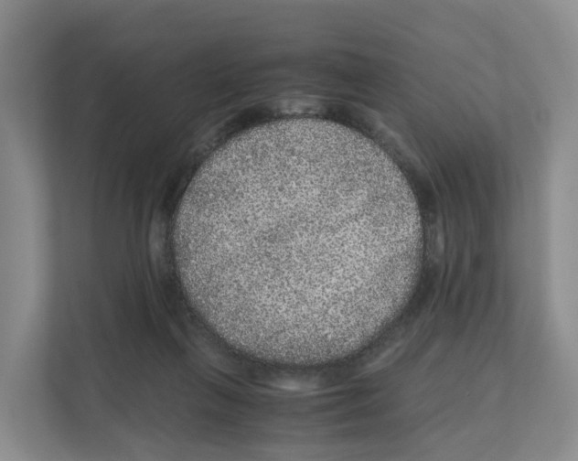 X0000111120263200908111025