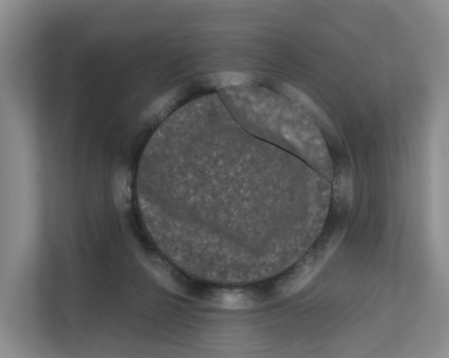 X0000111120264200908111025