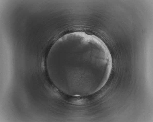 X0000111120267200908111025