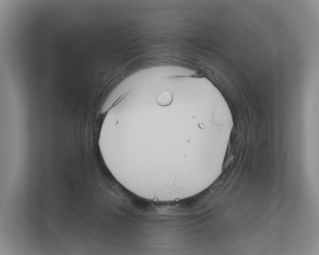 X0000111120268200908111025