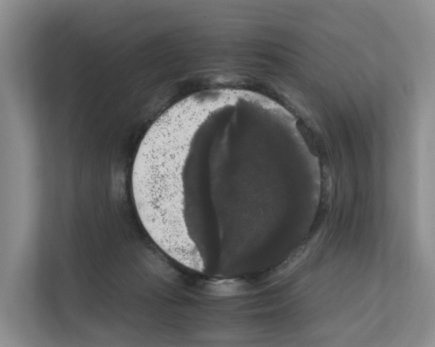 X0000111120269200908111025